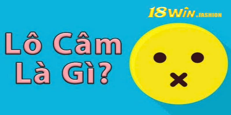 Câu hỏi thuật ngữ: Lô câm là gì?